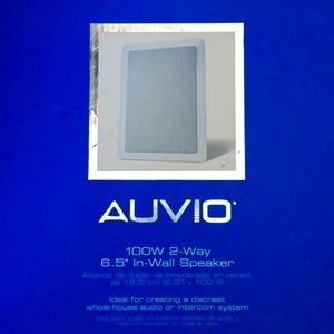 Auvio 100W 2-Way In-Wall Speaker  (100 W)
